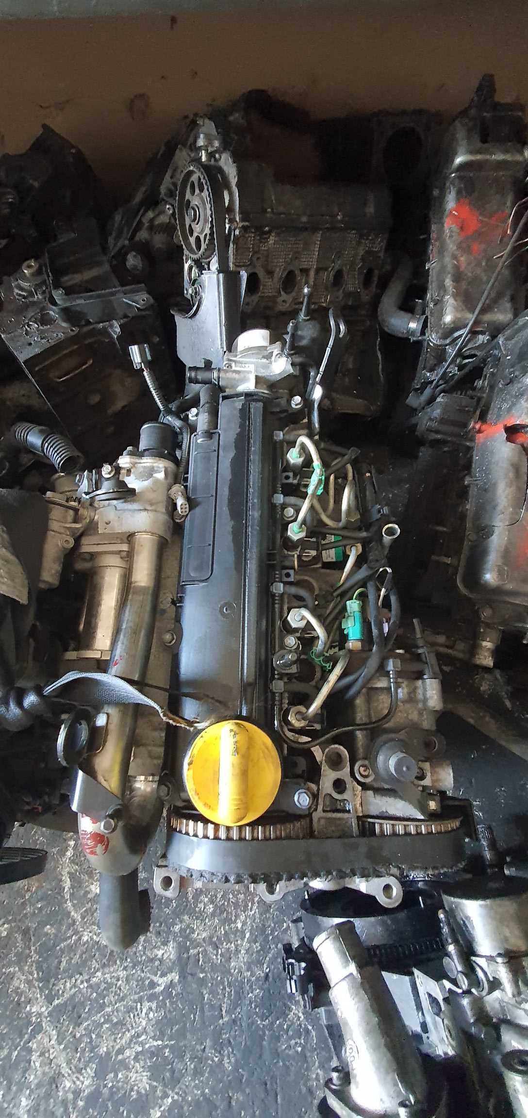 renault fluance 1.5 dizel motor